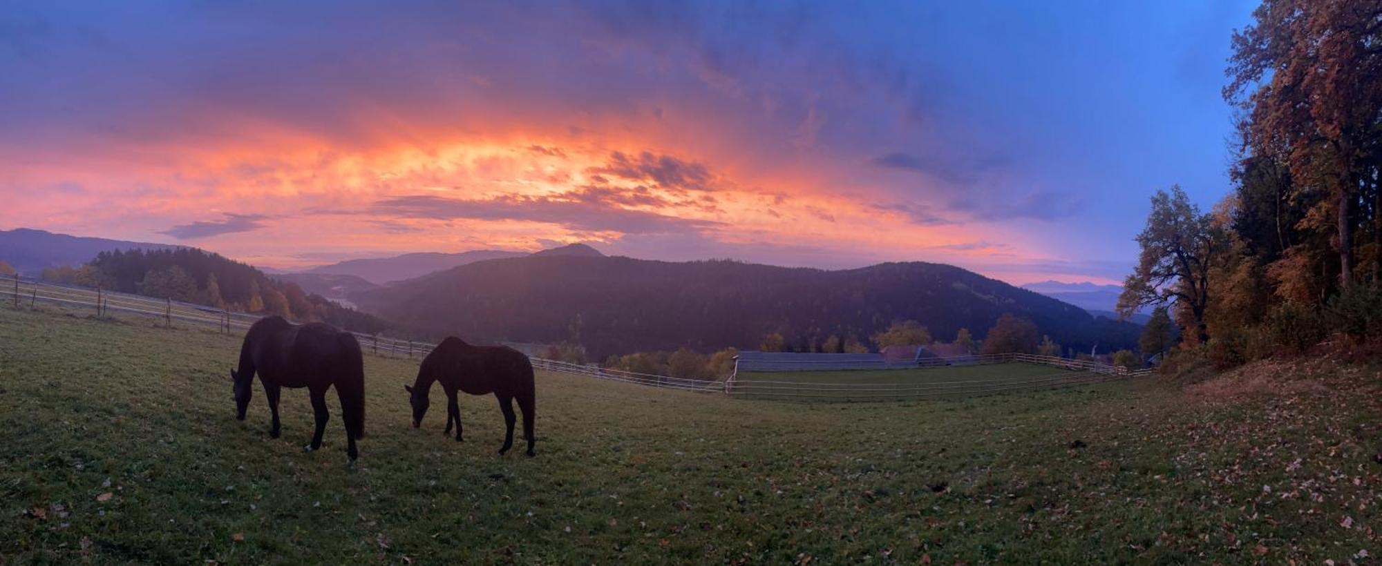 Little Farm Apartments Feldkirchen in Kärnten エクステリア 写真