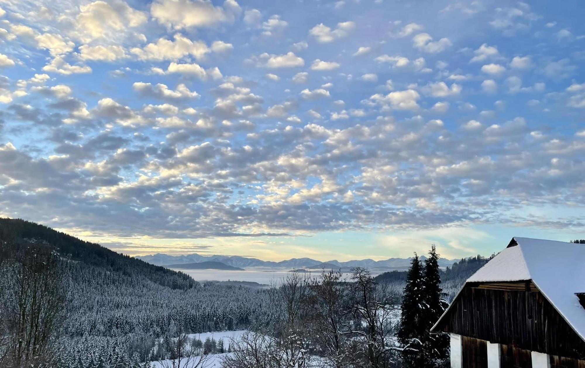 Little Farm Apartments Feldkirchen in Kärnten エクステリア 写真